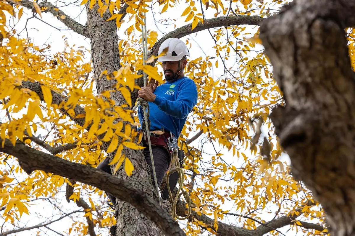Skilled Storm Damage Cleanup crew working in Byfield
